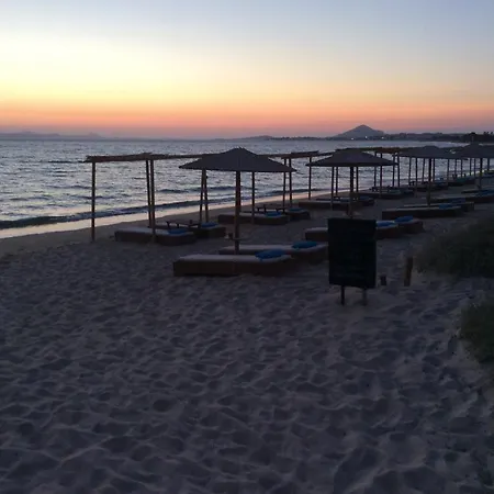 Plaka's House Seaside View 펜션
